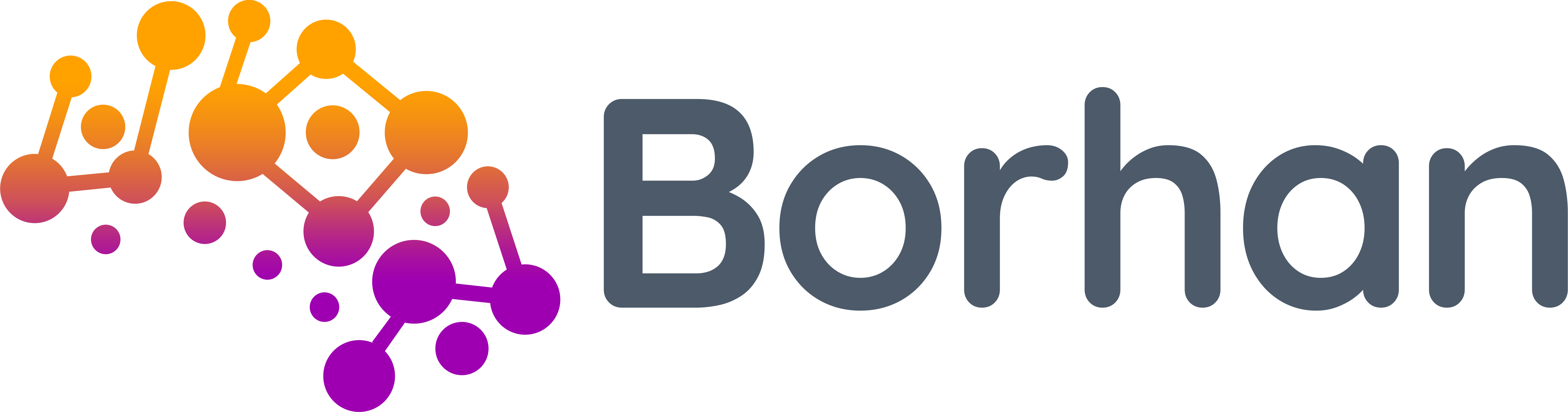 Borhan